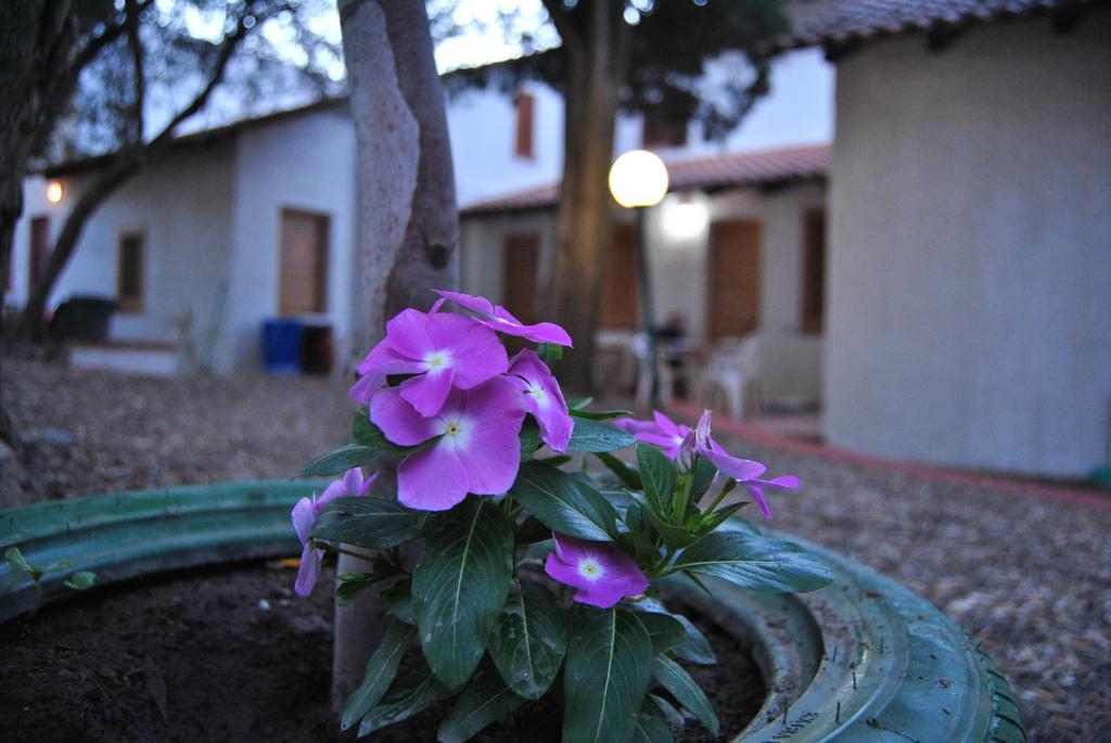 Camping B&B Gioiosa Gioiosa Marea Exterior foto